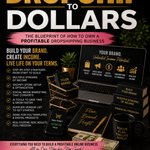 Dropship to Dollars: The Blueprint of How to Own a Profitable Dropshipping Business