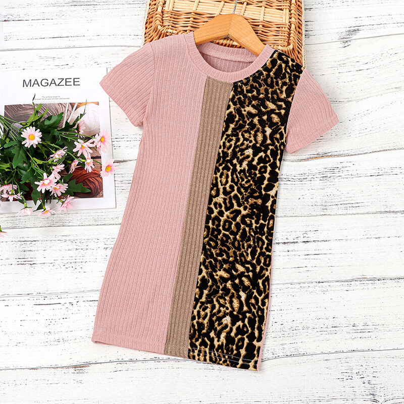 Chilled Day Colorblock Leopard Dress