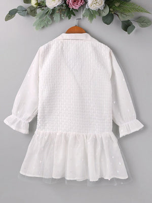 Little Girl Lapel Neck Mesh Dress White